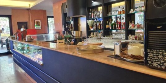 Bar Gastronomia in vendita zona Appio Claudio (cod 115)